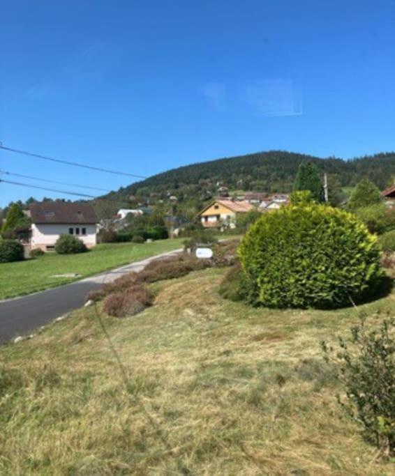 Les Deux Maisons - Little Green - Maison Cosy Proche Pistes Et Lac Gérardmer Extérieur photo